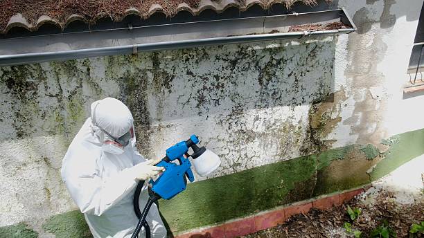 Top rated local Attic Mold Remediation specialists in Knightdale, NC